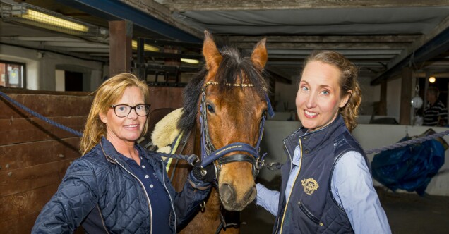 Catrine Lindström, 52 och Maria Winkvist, 46, bor i Uppsala och har hästintresset gemensamt. Catrine Lindström, 52 och Maria Winkvist, 46, bor i Uppsala och har hästintresset gemensamt.