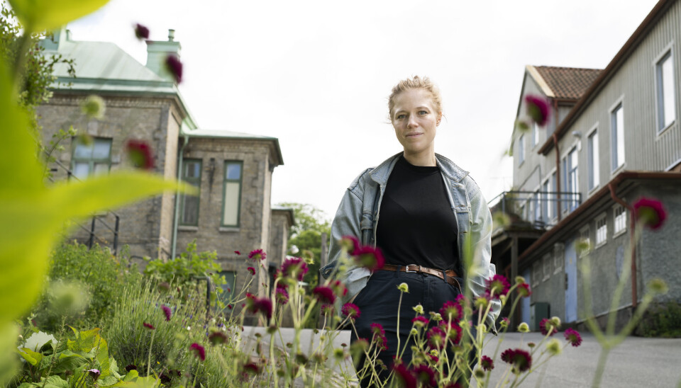 Olivia Bergdahl gladdes åt att bli mamma när hon drabbades av cancer.
