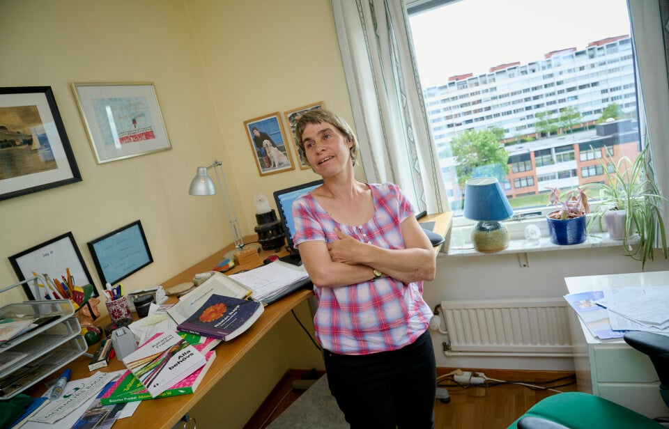På hemmakontoret i Lund skrivs böckerna. På hemmakontoret i Lund skrivs böckerna.