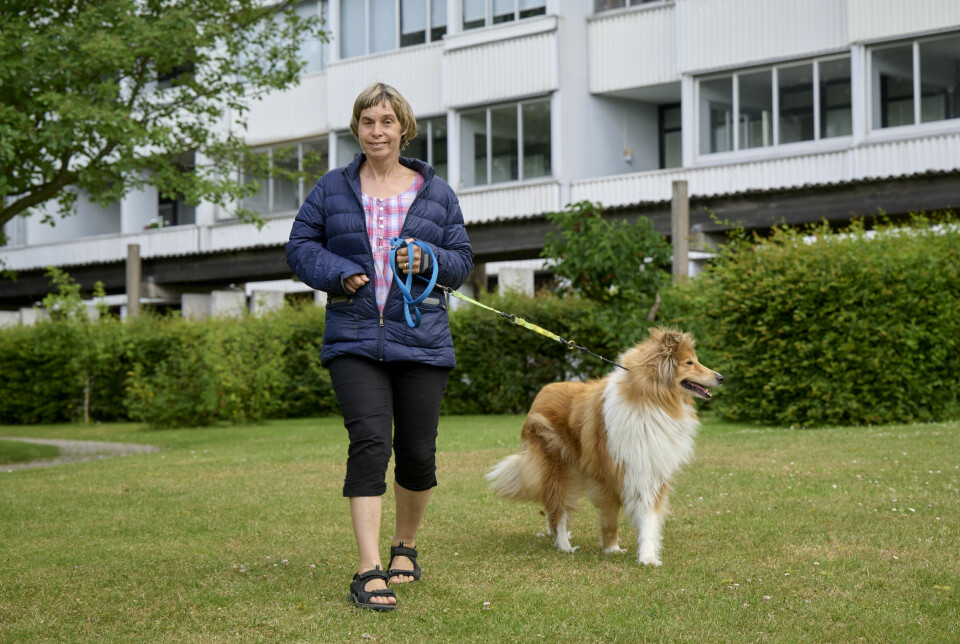 Katarina är en hundmänniska. Här med sin collie Lovisa. Katarina är en hundmänniska. Här med sin collie Lovisa.
