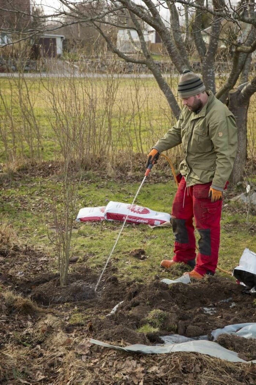 Vattna så att den nya jorden verkligen kommer i kontakt med rotklumpen. Lägg på resten av jorden