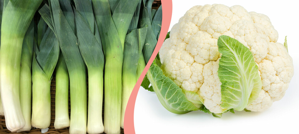 Maten som fortfarande är billig – tre goda recept