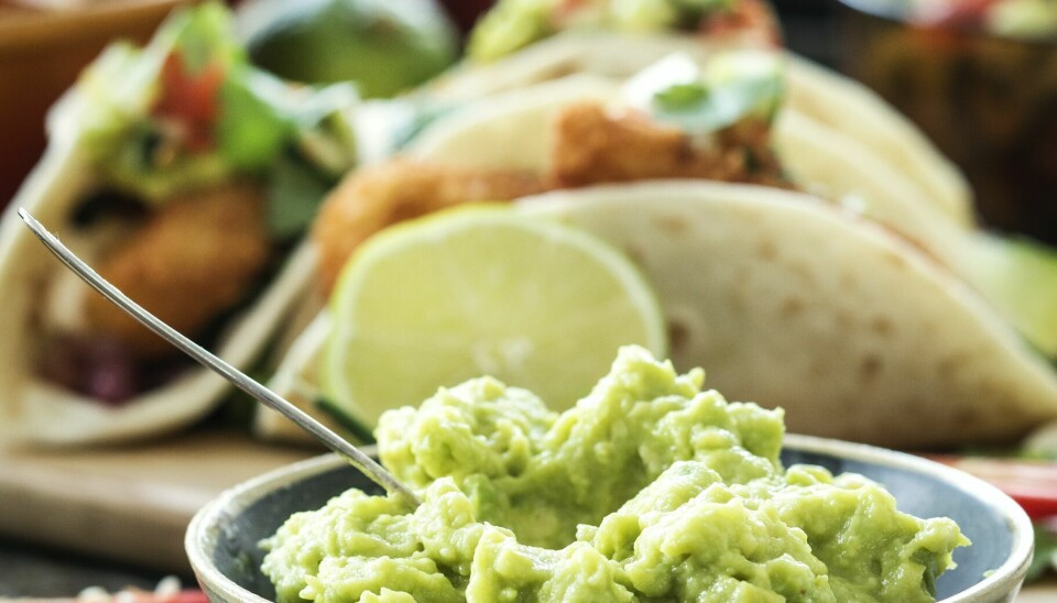 Guacamole är både nyttigt och ett gott tillbehör till många olika maträtter. Guacamole är både nyttigt och ett gott tillbehör till många olika maträtter.