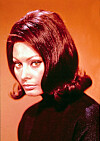 Sophia Loren.