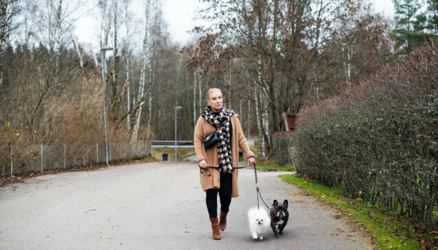 Åza tar en avkopplande promenad med hundarna Inez och Inga-Lill. Åza tar en avkopplande promenad med hundarna Inez och Inga-Lill.