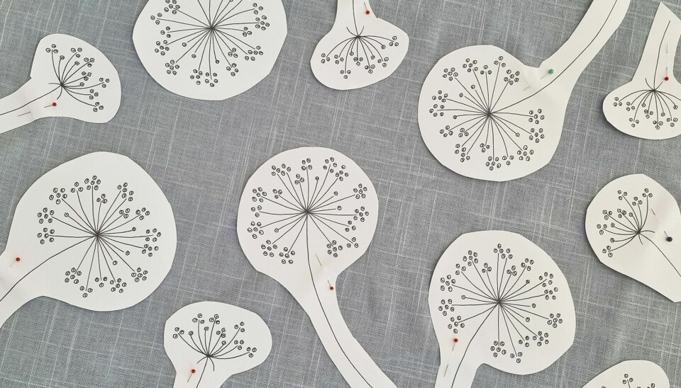 Kopiera upp så många blommor du önskar och prova att lägga ut dem fint innan du överför mönsterna. Kopiera upp så många blommor du önskar och prova att lägga ut dem fint innan du överför mönsterna.