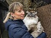 Sofie var rädd att en räv tagit katten Louie.