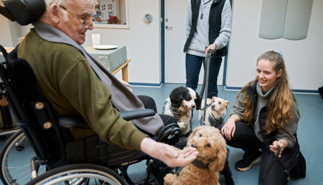 Besök av fyrbenta vänner kan alltid glädja en före detta hundtränare. Terkel njuter av att skämma bort hundarna med godsaker. Besök av fyrbenta vänner kan alltid glädja en före detta hundtränare. Terkel njuter av att skämma bort hundarna med godsaker.