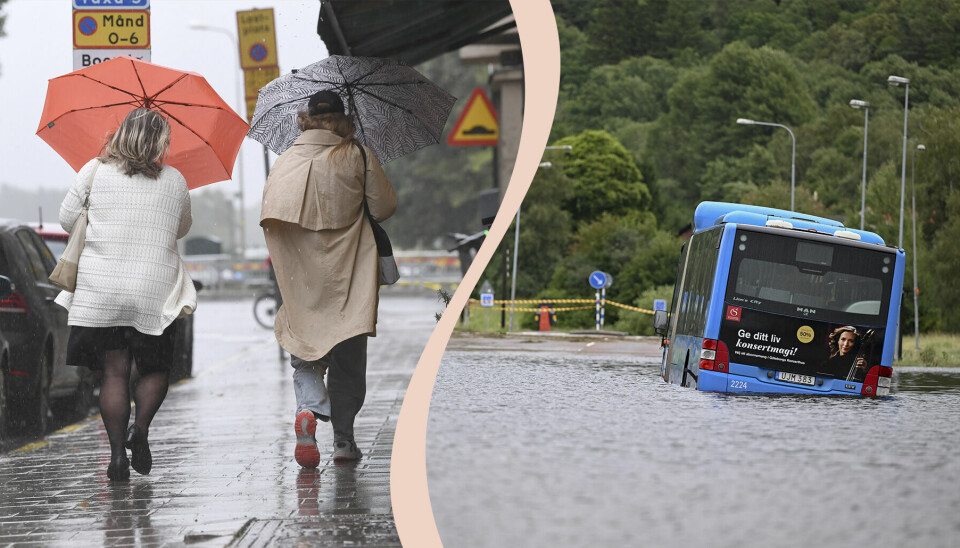 Vad hände med den heta sommaren 2023? Meteorologen reder ut