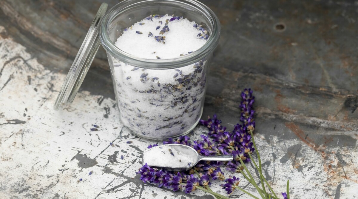 ljuvlig lavendel