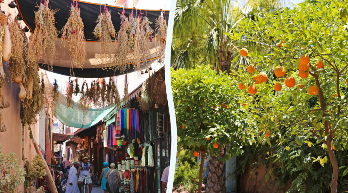 Resguide: Marrakech – arkitektur, marknader & matkultur