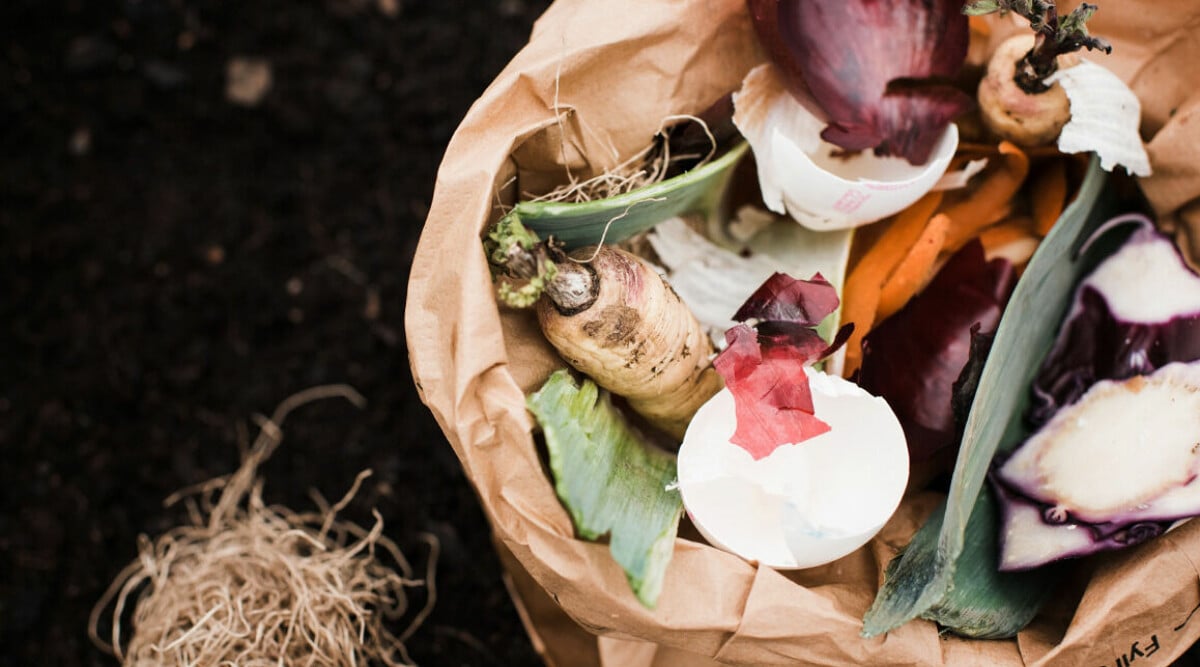 Det ska du INTE slänga i matavfall – vanliga misstaget