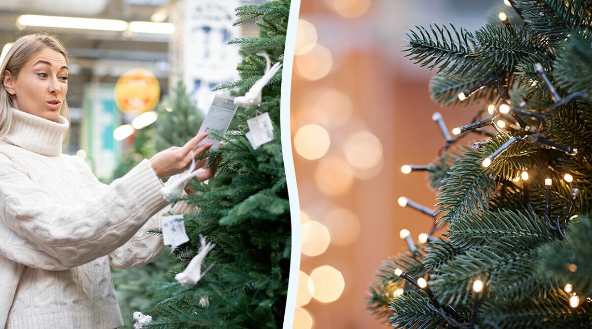 Vilken plastgran ska du köpa om du vill tänka på miljön? Här är svaret