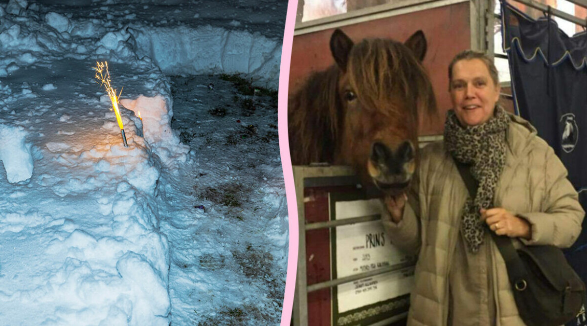 Malin Annells hästar nära att dö på nyår – på grund av nyårsraketerna