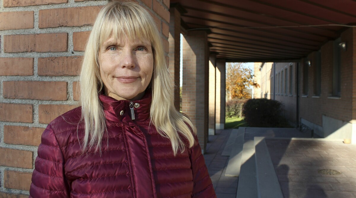 Anneli, 60, sökte 174 jobb – fick inget: ”Till slut kändes det hopplöst”