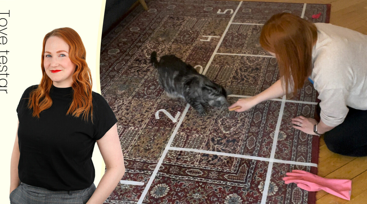 Så får du bort hund- och katthår ur mattan – här är produkten som fungerar bäst