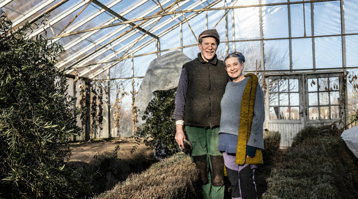 Gustav och Marie Mandelmanns lycka – ska få ett till barnbarn