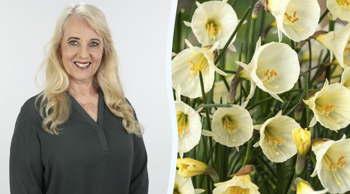 7 saker att göra i din trädgård i april