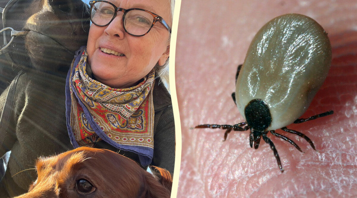 Min hund blev allvarligt sjuk – trots det väljer jag bort fästingtabletterna