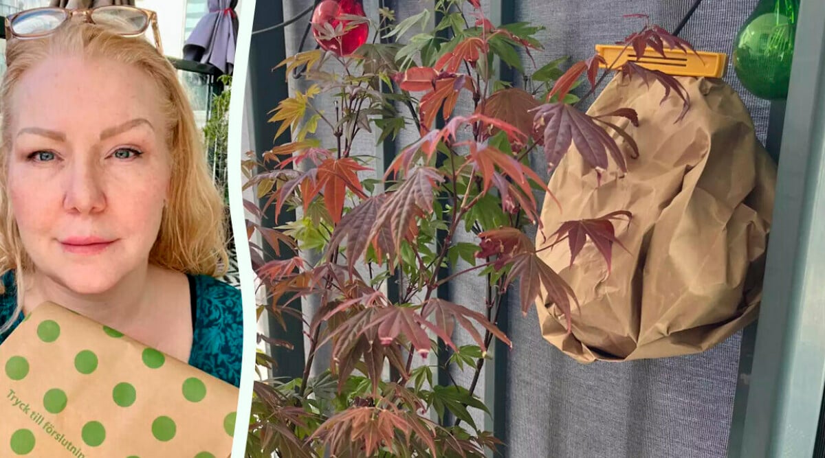 Jag hängde ut en brun påse på balkongen – löste sommarens värsta problem