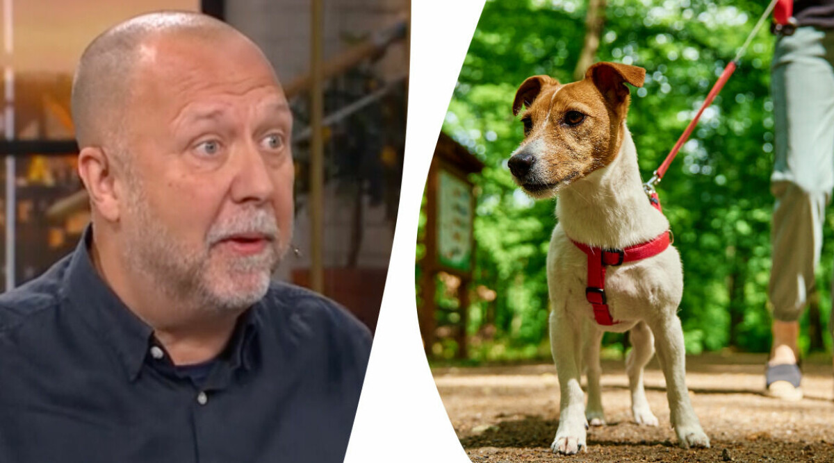 Då kan du tvingas betala böter som hundägare – extra hårda regler i sommar