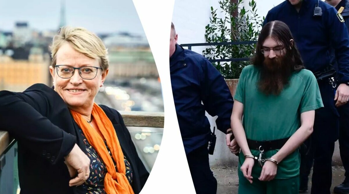Mördaren i Almedalen ville döda fler – planen som aldrig hann genomföras