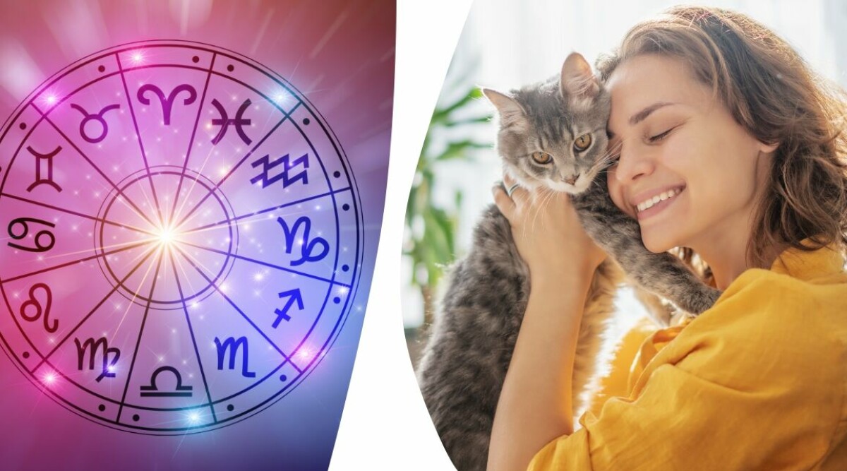 4 stjärntecken som garanterat är kattpersoner – enligt astrologin