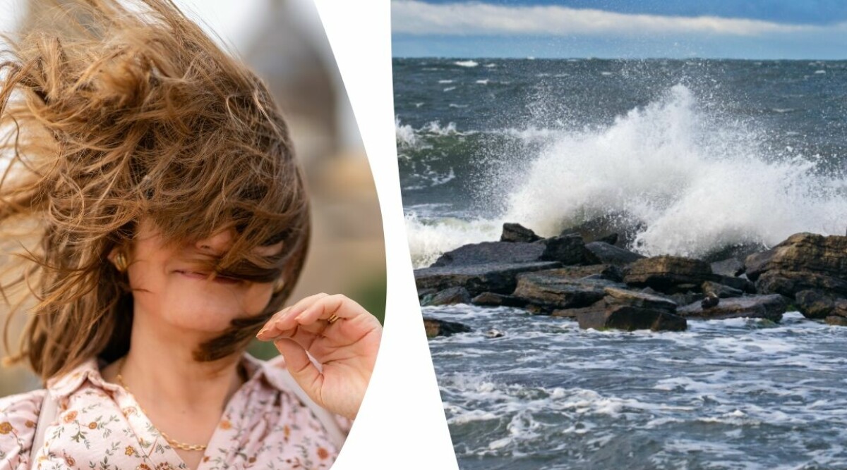 Oväntat höstväder i sommar – meteorologen om fenomenet