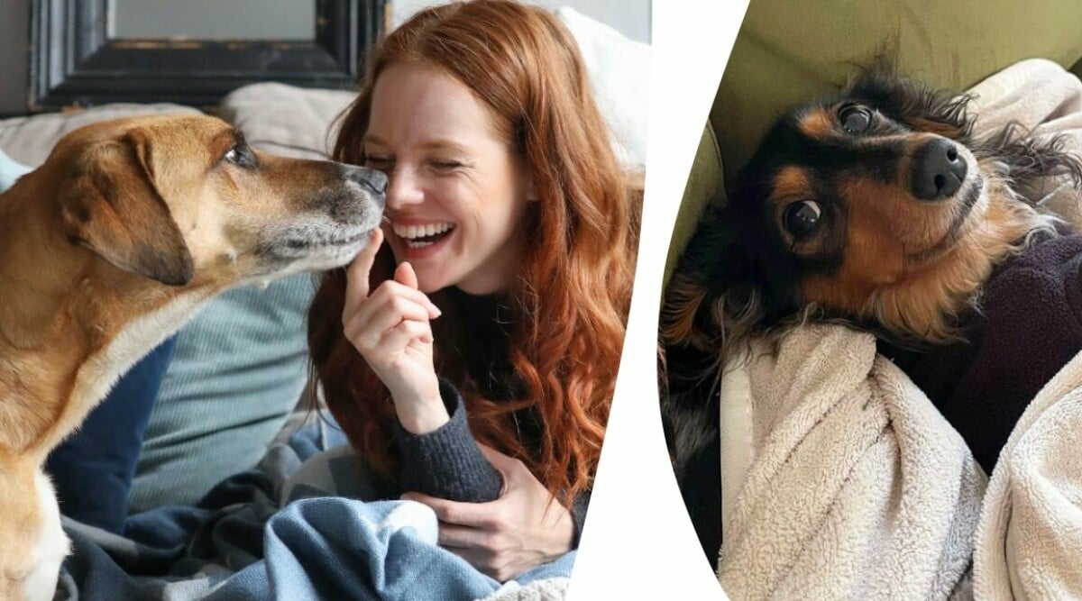8 urgulliga fakta om hundar som gör oss alldeles varma på insidan