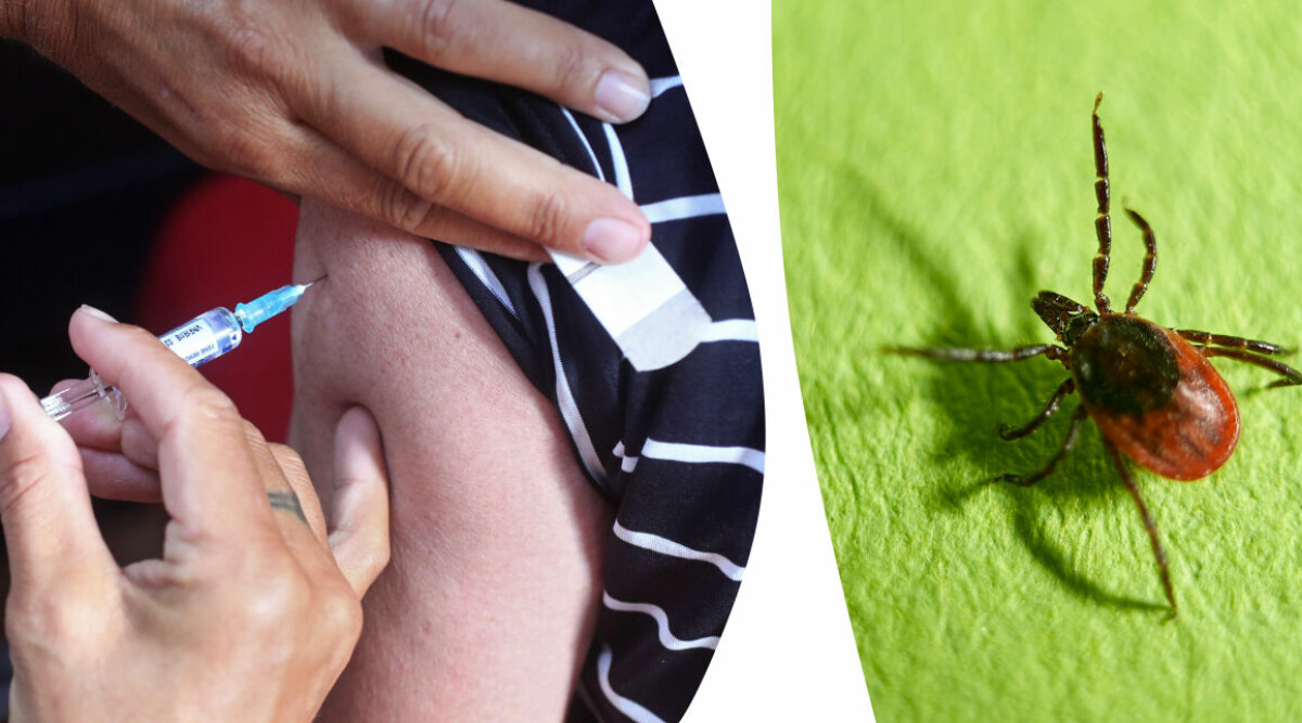 Dyrast och billigast – stora prisskillnader för TBE-vaccin
