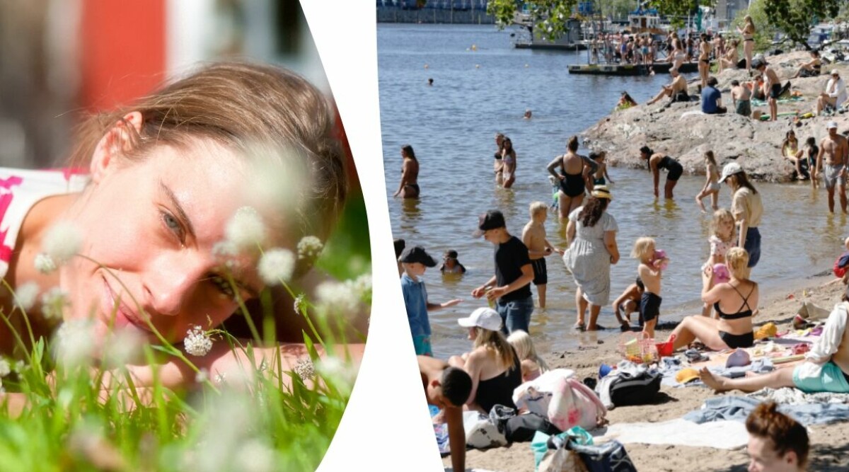 Varning för giftig mördarväxt – trivs nära badplatser i Sverige