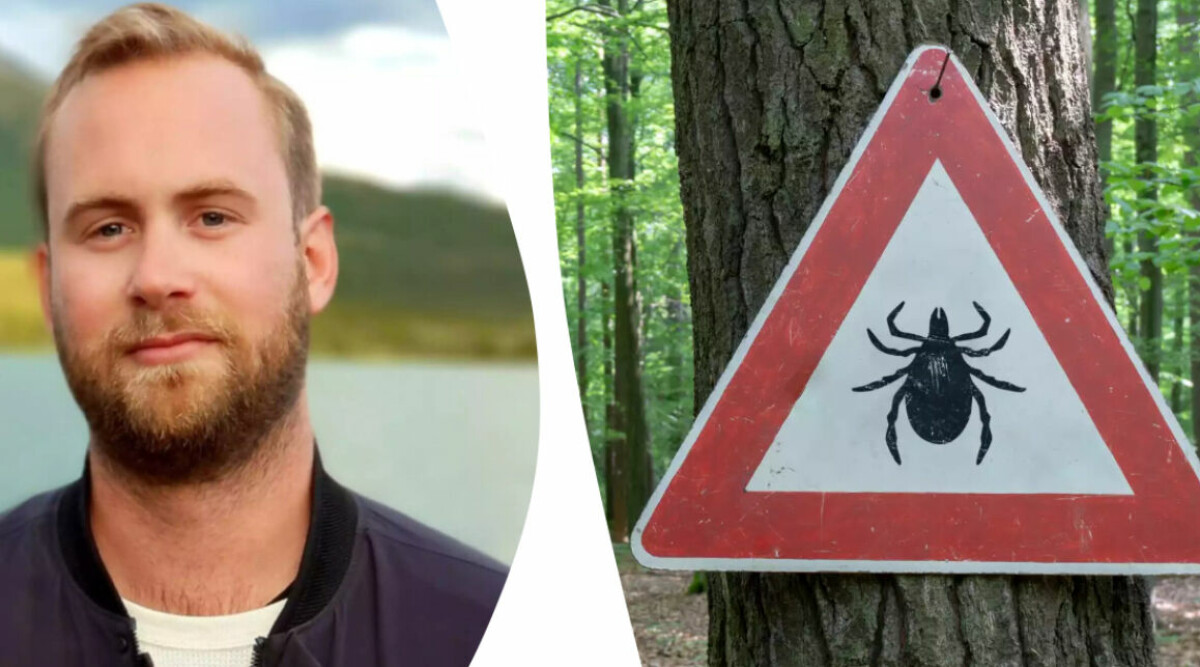 Så håller du dig frisk under sommaren – husläkaren om vanligaste åkommorna