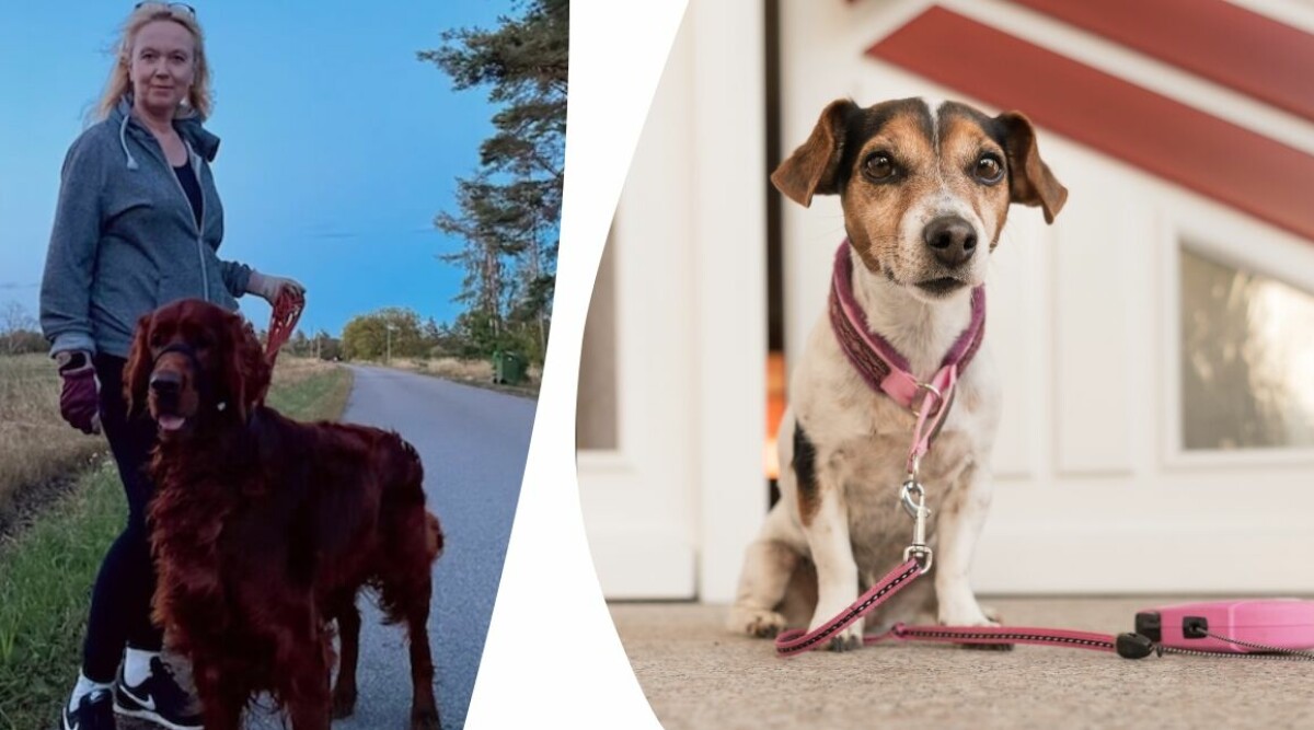 Detta är det största misstaget som nya hundägare gör: Borde vara förbjudet