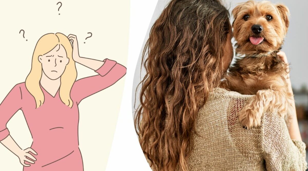 Mina kollegor vabbar hela tiden – varför får jag inte vara hemma med min sjuka hund?