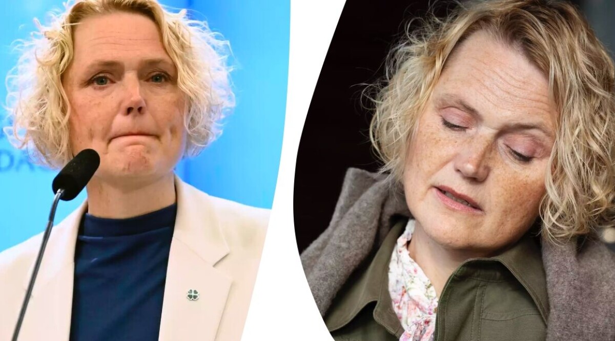 Anna-Karin Hatt: Jag är en tigermamma – om någon hotar ungarna är jag där