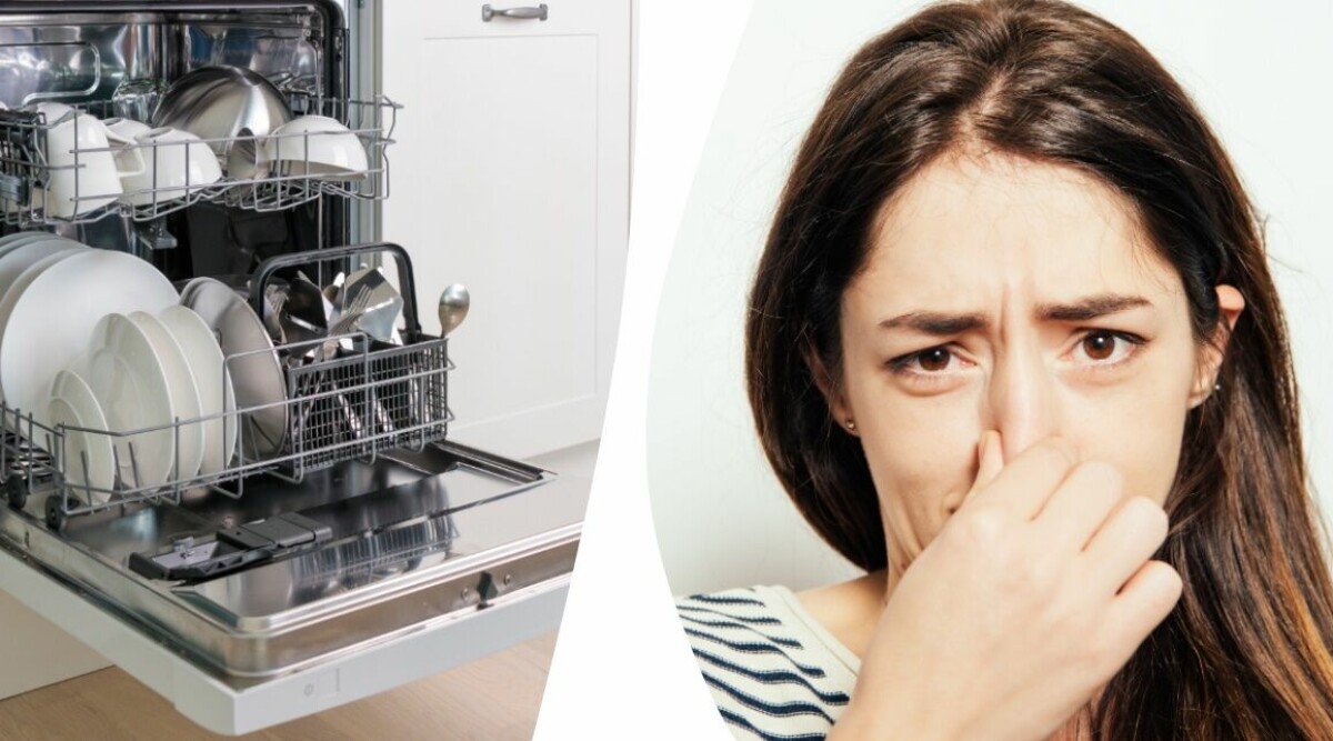 Därför luktar din diskmaskin illa – 6 möjliga orsaker