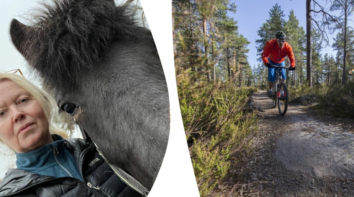 Dessa beteenden stör jag mig på i skogen – undvik katastrofer när du möter min häst