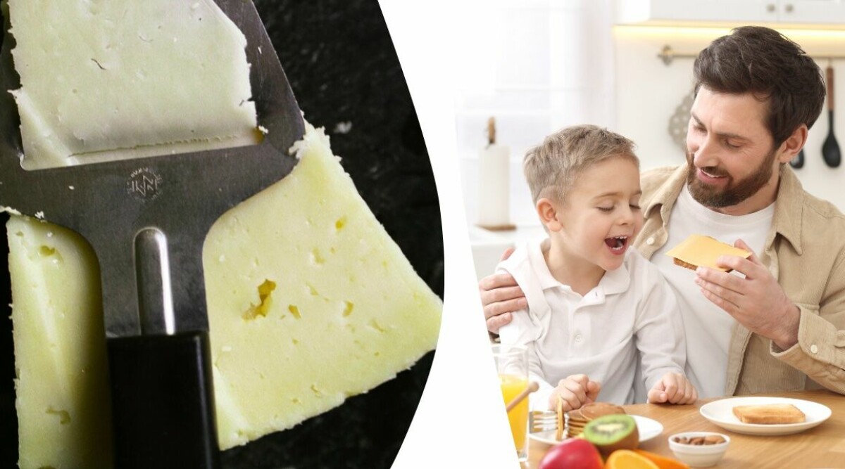 Svenska klassiska osten hotad – mjölkbönderna rasar: ”Riskerar att försvinna”