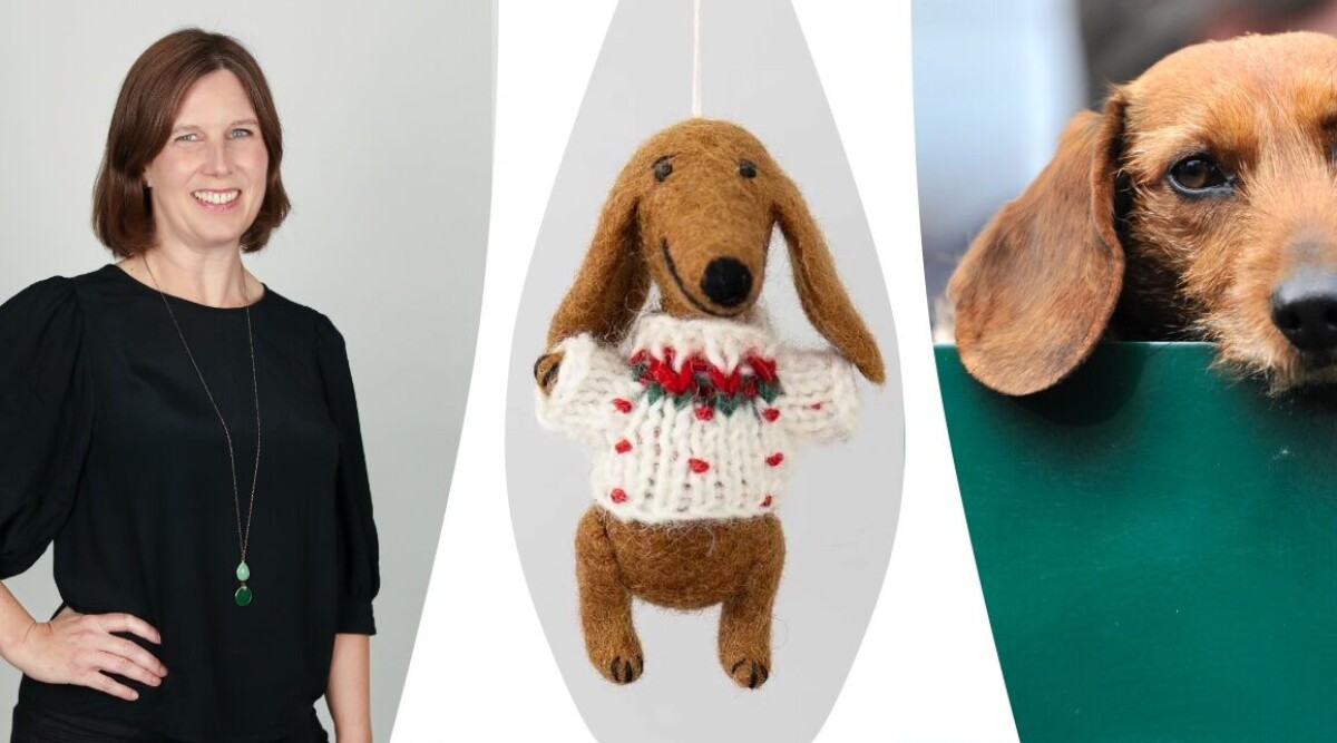 Inredningsredaktören: Detta är det trendigaste du kan inreda med just nu