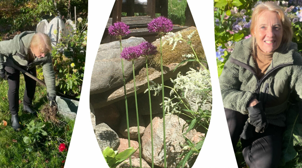 Trädgårdsredaktören: 8 saker jag önskar att jag visste innan jag skaffade trädgård