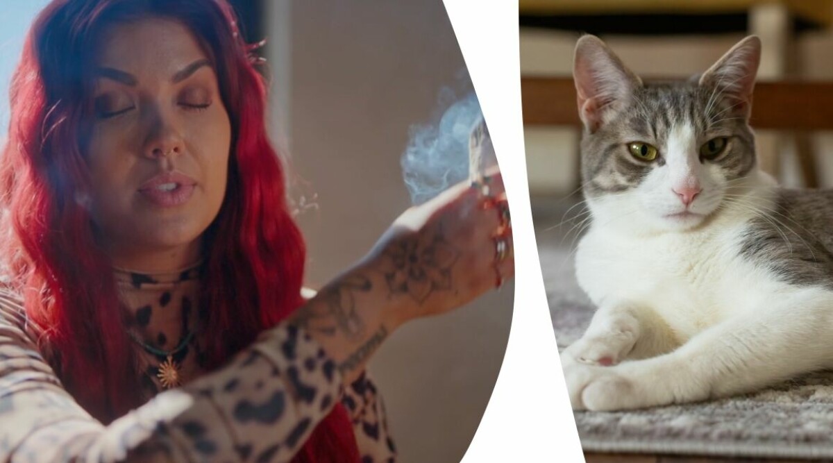 Tv-aktuella mediet Pumahjärta kan tala med djur: Så vet jag vad de känner