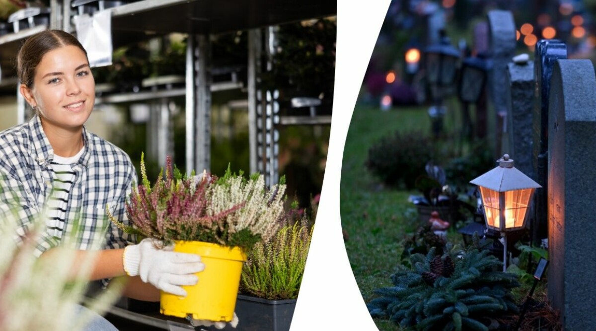 Här är vackra blommor och växter som håller bäst på gravplatsen