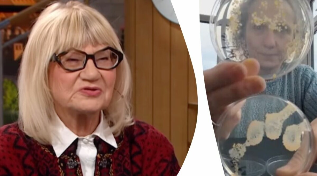 Bakteriespridaren du inte tänker på i badrummet – trots att du tvättar dig: ”Rädd”