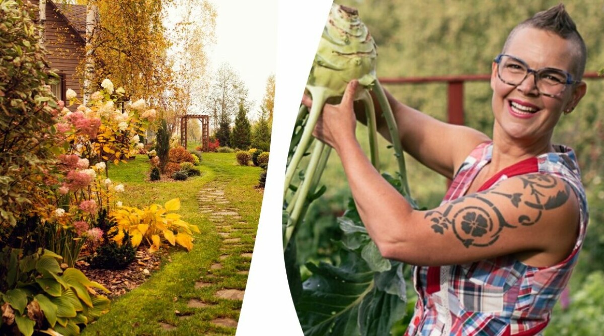 Sara Bäckmo: 3 saker jag alltid gör i trädgården innan frosten kommer