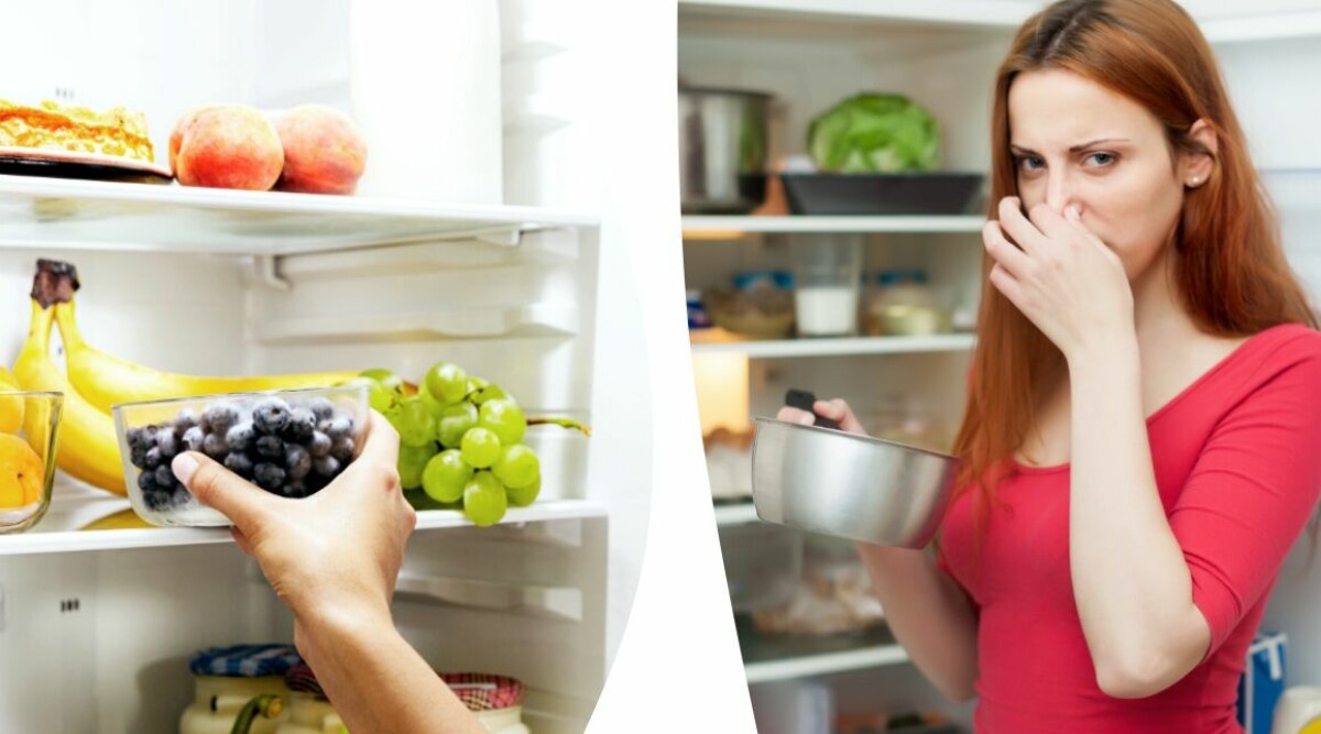 Därför luktar din kyl äckligt – 8 oväntade ingredienser som gör att den doftar fräscht igen