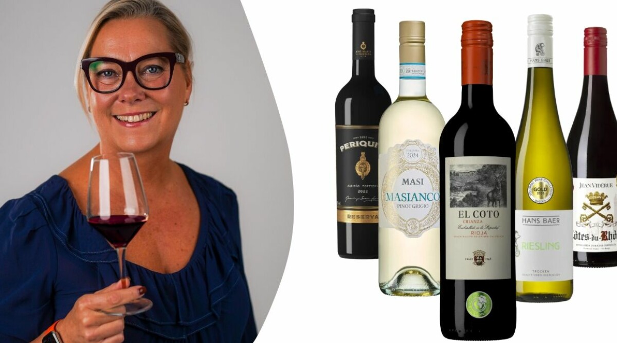 Här är bästa vinerna under 100 kronor – billiga fynden som faktiskt är goda