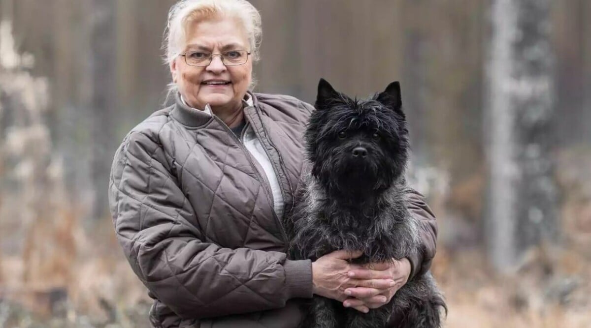 Pillans envisa lilla hjältehund Hasse räddade liv: ”Hade kunnat gå riktigt illa”