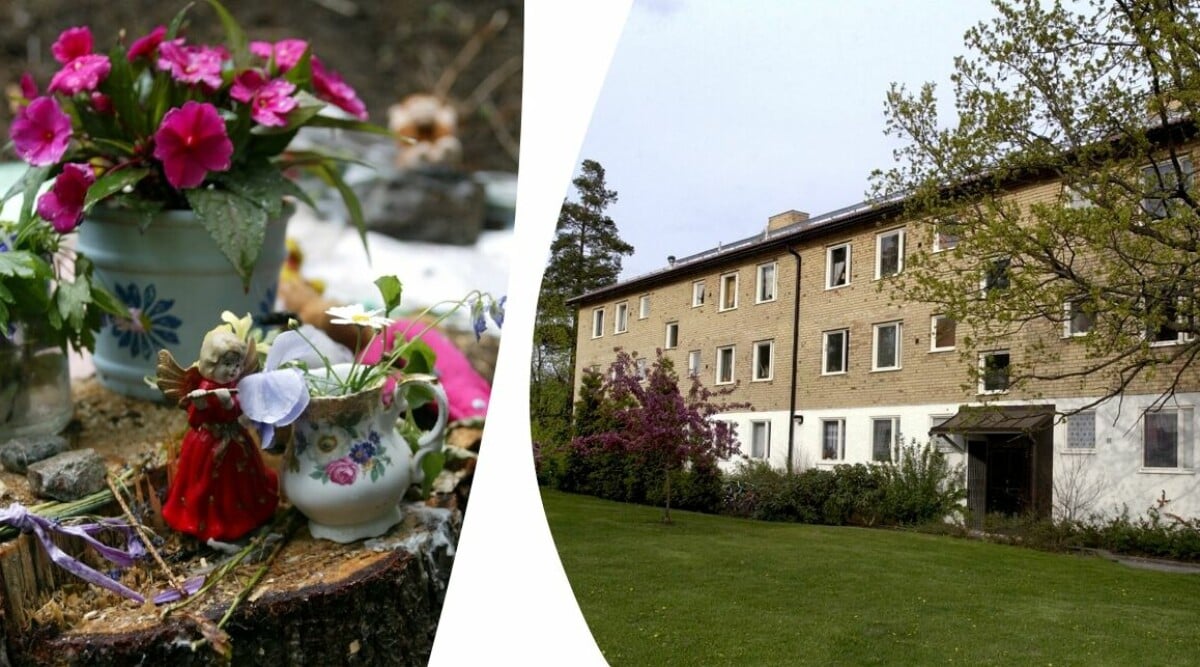 Makabra fyndet i kvinnans frys – sonen upptäckte sanningen: ”Det har varit min hemlighet”