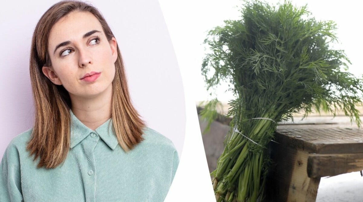 Här är färska dillen som innehåller olagliga ämnen – säljs i de stora butikerna