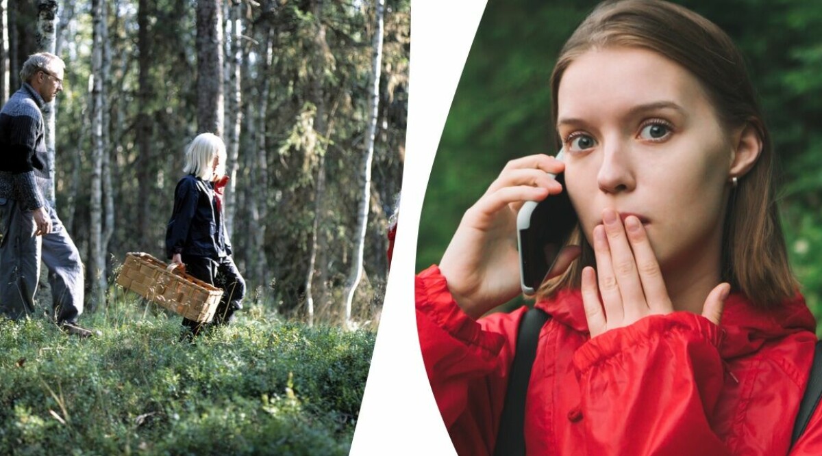 Vanliga svampen kan bli förbjuden – bedöms vara livsfarlig: ”Fara för människors liv”